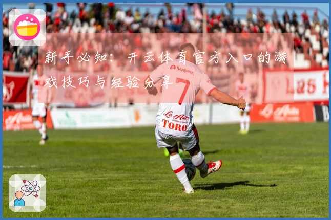 新手必知：开云体育官方入口的游戏技巧与经验分享