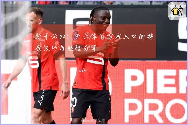 新手必知：开云体育官方入口的游戏技巧与经验分享