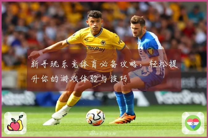新手玩乐竞体育必备攻略，轻松提升你的游戏体验与技巧